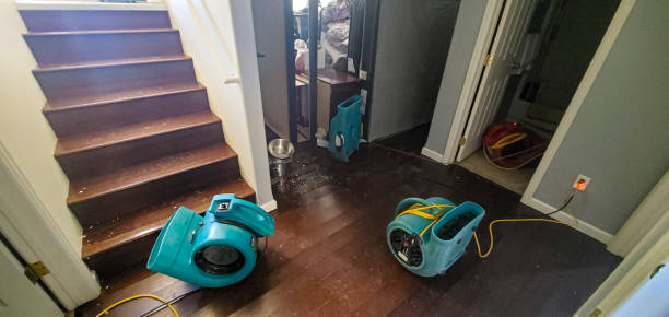 Best Water damage contractors near me  in Collinsville, AL