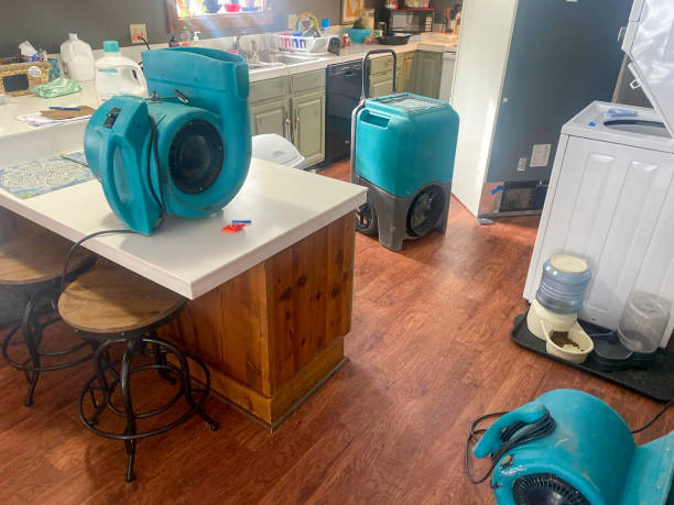 Best Water damage cleanup near me  in Collinsville, AL
