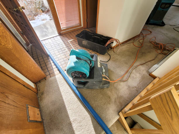 Best Water damage restoration near me  in Collinsville, AL