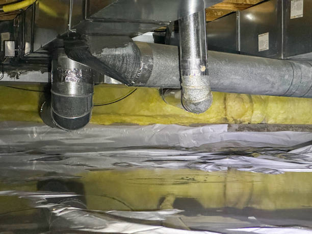 Best Flood damage cleanup  in Collinsville, AL