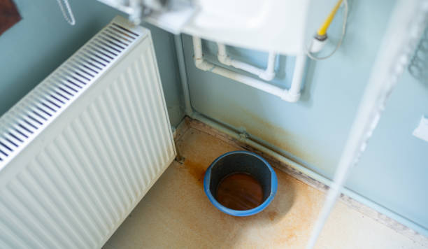 Best Carpet water damage restoration  in Collinsville, AL