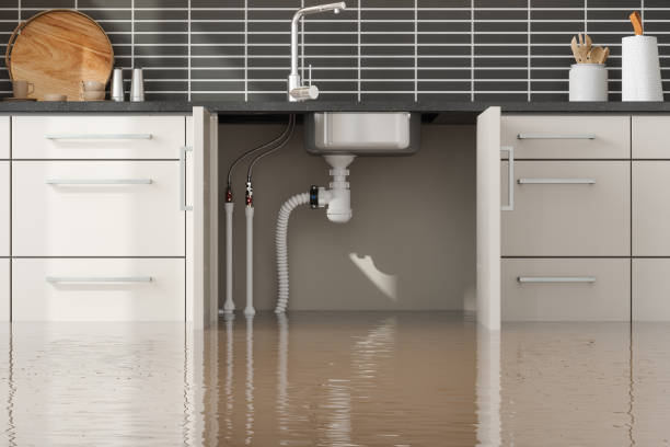 Best Water damage mitigation services  in Collinsville, AL