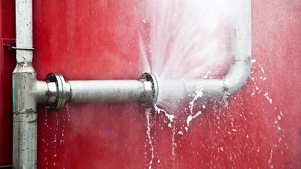 Best Local water damage restoration  in Collinsville, AL